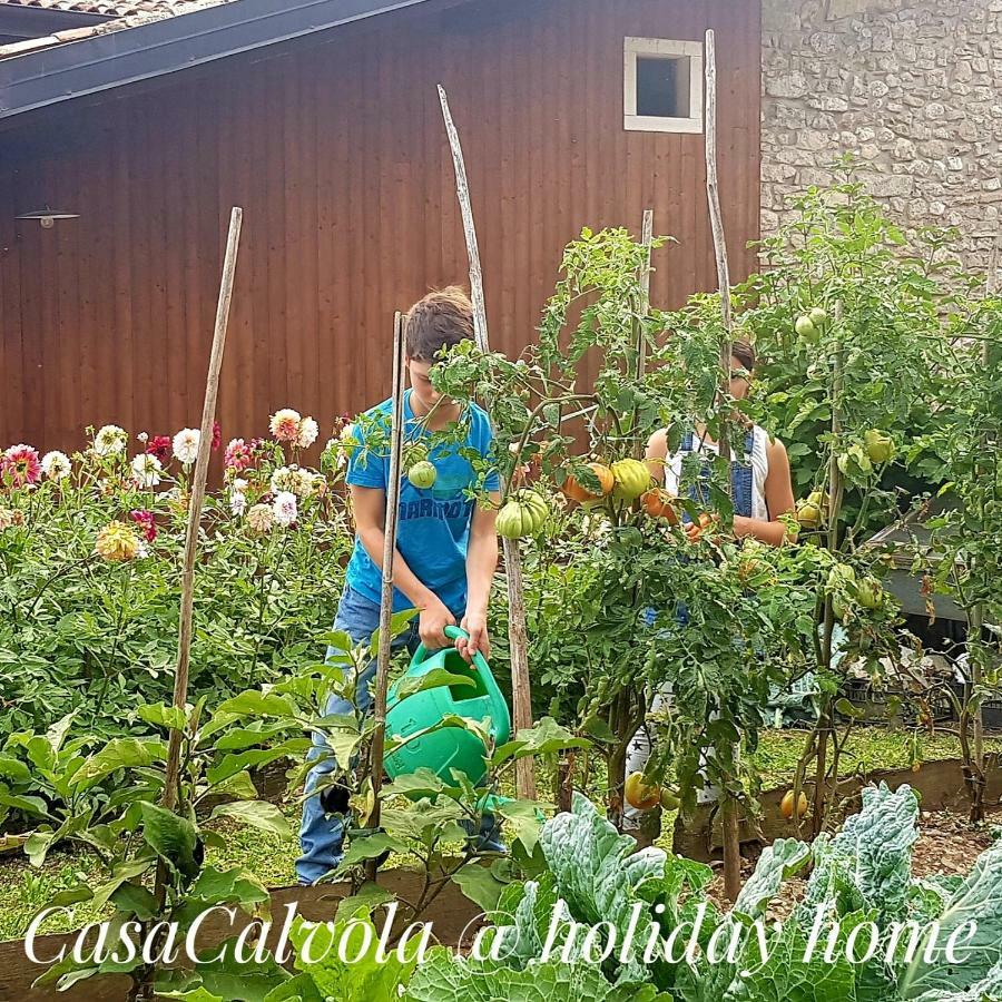 Casa Calvola Holiday Home Tenno Bagian luar foto